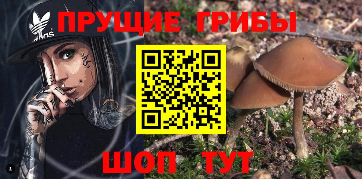 Пыть-Ях  Галлюциногенные грибы MAGIC MUSHROOMS  Вход с VPN 