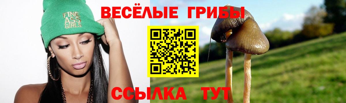 Галлюциногенные грибы Cubensis Пыть-Ях